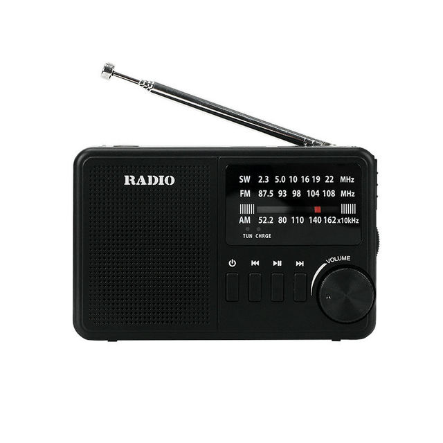 Portable Mini Radio BT Speaker for Elderly with TF Card SOS Alarm LED Flashlight Rechargeable