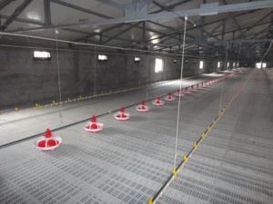 Fabricantes de tableros con fugas de estiércol de pollo, venta al por mayor de plástico para aves de corral, suelo con fugas, rejilla para gallinero, estiércol - Product Image 4