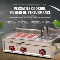 Grill multifonctionnel à gaz GPL et friteuse professionnelle pour snacks – Offre spéciale