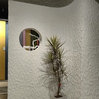 Carreaux muraux en pierre souple à texture naturelle Star Moon Stone, durables, ignifuges, pour la décoration de villas de luxe