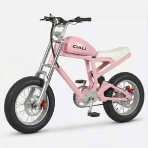 जिली 48 वी 750w 19.2 आह इलेक्ट्रिक बाइक रेट्रो स्टीम पंक ईबाइक मोपेड शैली इलेक्ट्रिक बाइक विंटेज गुलाबी साइकिल - Product Image 6