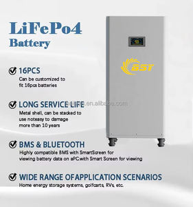 BSY-V Hithium 314Ah 300Ah EV MB31 15KWh أنظمة تخزين الطاقة المنزلية بطارية ليثيوم + JK BMS + كابل + RS232 + RS485 dp إلى بولندا - Product Image 3