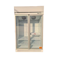 Supermarchés et dépanneurs Vitrines congelées à double porte en verre à température unique utilisées pour congeler le poulet et le bœuf