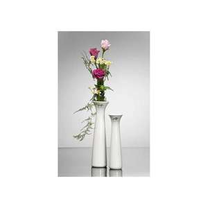 Sandra Rich Vase Classy Solifleur Porzellan 24cm Ø 6,5cm weiß - Product Image 2