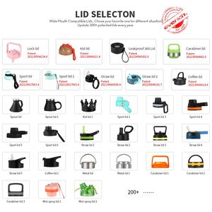 Botol Air Terisolasi Everich Desain ODM Baru Berpatenten LFGB, Baja Anti Karat Dinding Ganda, RE-UPGRADE, dengan Pegangan, Sedotan, dan Tutup Pengunci - Product Image 2