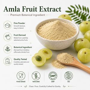 <strong>Amla</strong> Fruit Extract Herbal Water Extract Food Grade Botanical <strong>Powder</strong> ISO/Halal/Kosher/Organic Certified Bulk Supply - Product Image 2
