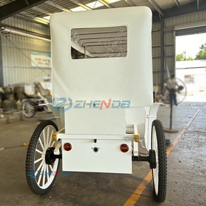 ZHENDA Voiture électrique biplace Princesse des rêves en forme de calèche de chevaux en cristal, couleur personnalisable, populaire pour mariages, événements et complexes hôteliers de luxe - Product Image 5