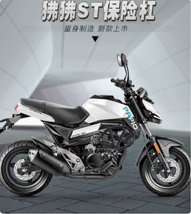 Barra Protectora Anticaídas CF125-3 para ST <span class=keywords><strong>Papio</strong></span>, Accesorio de Modificación para Protección del Motor - Product Image 4