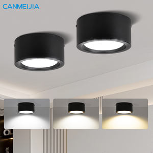 Plafonnier moderne 20W de haute qualité monté en surface en fer pour la maison, l'hôtel/Led Downlight/Downlights - Product Image 1
