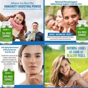 Gommes à mâcher à base d'algues marines irlandaises biologiques et végétaliennes, multivitamines, régime alimentaire végétalien, ventre plat, santé, bonbons naturels, complément alimentaire - Product Image 6