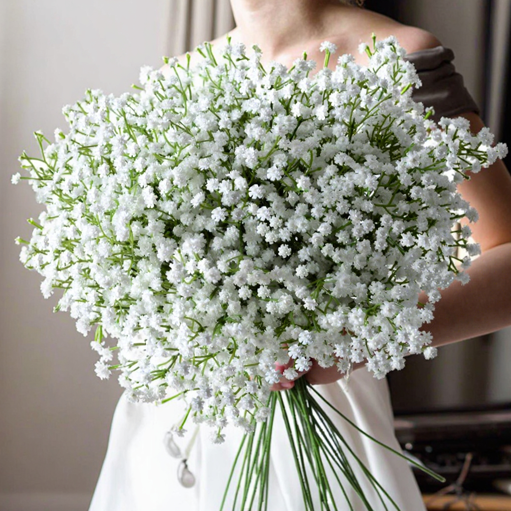 Gypsophila - Dried Flowers for Elegant Wedding Decor