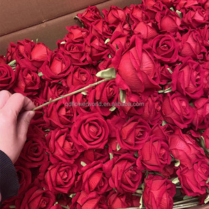 Fabbrica all'ingrosso all'ingrosso di alta qualità artificiale singolo velluto Rose <span class=keywords><strong>fiore</strong></span> rosso bianco personalizzato reale tocco rosa fiori decorativi - Product Image 1