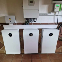 Deye RW-F16 LiFePO4 Lithium-Batterie 15 kW 16 kW Deye 51,2 V 314 Ah 15 kWh 16 kWh Solar-Speicherbatterie mit Deye Hybrid-Wechselrichter