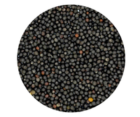 Rape Seed Canola Seeds for Sale - Canola Beans
