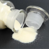 Prix fabricant de la poudre de gélatine halal de qualité alimentaire / Gélatine bovine comestible en gros 25kg/sac Gélatine de classe mondiale