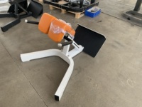 Banc de musculation commercial pour extensions dorsales, chaise romaine pour l'entraînement des muscles abdominaux et l'étirement du dos
