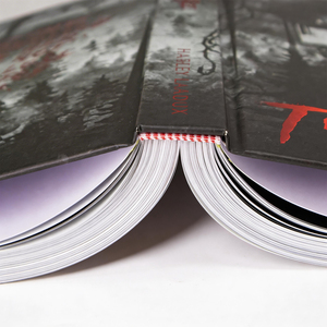 Impresión de Libros de Tapa Dura <span class=keywords><strong>para</strong></span> Autoedición, Bordes Rociados Personalizados, Estampado en Lámina Dorada, Cubierta Protectora y Papel de Arte <span class=keywords><strong>para</strong></span> Edición Especial - Product Image 3