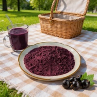 Fabrieksdirect voedingsmiddelenkwaliteit 100% puur zwarte bessen extract poeder, kruidenextract voor dranken en desserts.