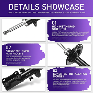 Kit de Suspensión Coilover con Amortiguadores para Ford, Nissan Patrol, <span class=keywords><strong>Toyota</strong></span> <span class=keywords><strong>Hiace</strong></span>, Tundra, Subaru Forester, Honda, Porsche Cayenne, Elantra - Product Image 3