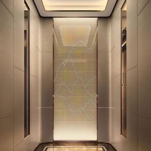 Ascensor Comercial y Residencial Personalizable de 800kg-1000kg, Ascensor de Pasajeros - Product Image 1