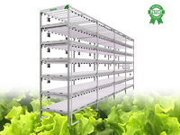 Plus rentable que le système d'agriculture verticale en tour hydroponique pour la culture commerciale de la laitue