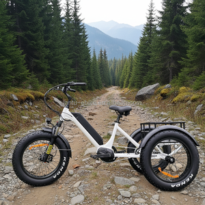 Prix d'usine OEM <span class=keywords><strong>Vélo</strong></span> <span class=keywords><strong>électrique</strong></span> à 3 roues Tricycle <span class=keywords><strong>électrique</strong></span> 500w <span class=keywords><strong>Vélo</strong></span> <span class=keywords><strong>cargo</strong></span> <span class=keywords><strong>électrique</strong></span> pour adultes <span class=keywords><strong>Vélo</strong></span> de livraison <span class=keywords><strong>avec</strong></span> <span class=keywords><strong>assistance</strong></span> au pédalage - Product Image 2