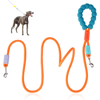 Laisse pour animaux de compagnie en nylon tressé à double clip, résistante à l'usure, avec mousqueton rotatif, accessoire portable pour la promenade et l'entraînement, vente en gros
