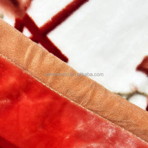 Couverture lestée Warmworld pour adulte, douce et chaude, couverture en peluche Raschel double couche réversible pour l'automne et l'hiver - Product Image 2