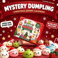 Cadeau de Noël : Calendrier de l'Avent 24 Jours avec Jouets Squishy en Forme de Raviolis, Boîte Mystère Surprise, Jouets Anti-Stress à Presser pour Enfants, Compte à Rebours des Fêtes