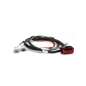 רכבת כבל מותאם אישית עם עמיד למים, תכונות עמידות בפני חום על ידי יצרני רתום תיל עבור מערכת חיווט לרכב - Product Image 4