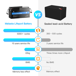 Batteries au phosphate de fer et de lithium Melasta OEM 12V 24V 100Ah 200Ah, batterie 12V pour camping-car/UPS/solaire - Product Image 2