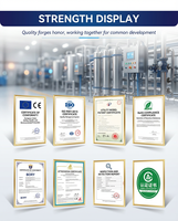Système de filtration d'eau RO avec pompe PLC 6 TPH SUS304/316 pour alimentation de chaudière, membrane durable, longue durée de vie, eau industrielle