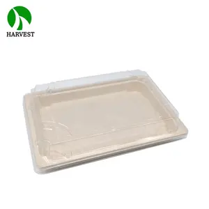 Plateau à sushi jetable <span class=keywords><strong>en</strong></span> pulpe de bagasse biodégradable, de haute qualité, résistant à l'eau et compatible micro-ondes, vente <span class=keywords><strong>en</strong></span> gros - Product Image 4