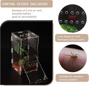 <span class=keywords><strong>Acrylic</strong></span> Jumping Spider Tarantula Enceinte 4 \ "X 4 \" X 8 \ "<span class=keywords><strong>Reptile</strong></span> Terrarium Insecte Petit Arbre Habitation Reptiles Présentoir - Product Image 5