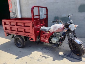 Approvisionnement Chine Vente en Gros Tricycle Cargo Motorisé à Essence <span class=keywords><strong>3</strong></span> Roues 200cc 250cc pour l'Agriculture - Product Image 4