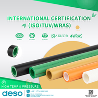 DESO vente en gros personnalisé PN25 Anti-Corrosion haute durabilité en plastique PPR raccord de tuyau Union Accessoires Plomberie PPR