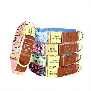 Collar de Perro de Cuero Personalizado en Marrón, Rosa, Verde, Azul, Morado y Naranja con Corazones y Diseños Florales - Product Image 1