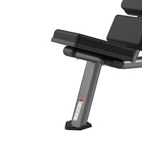 Banc de musculation en acier Realleader, 55 degrés, équipement de gym commercial de haute qualité pour club de fitness, garantie 6 ans