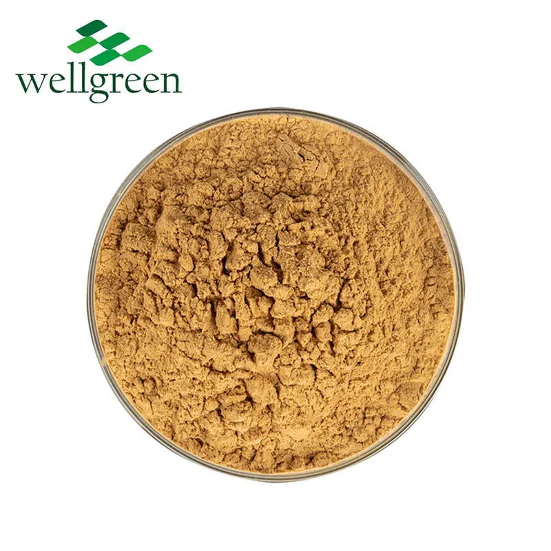 Wellgreen Aditivo alimentar Natural Extrato de Yucca Schidigera 30% Yucca Saponinas 60% Yucca Saponinas em Pó