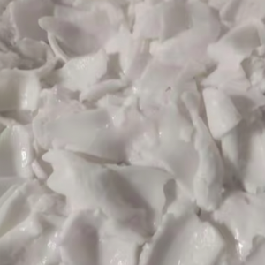 เนื้อมะพร้าวเนื้อนุ่มแช่แข็ง | เนื้อมะพร้าวแช่แข็งจากเวียดนามพร้อมบรรจุภัณฑ์ตามสั่ง - Product Image 1