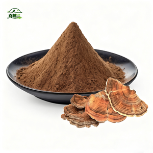 도매 공급 코리올러스 <span class=keywords><strong>Versicolor</strong></span> 추출물 칠면조 꼬리 버섯 추출물 - Product Image 2