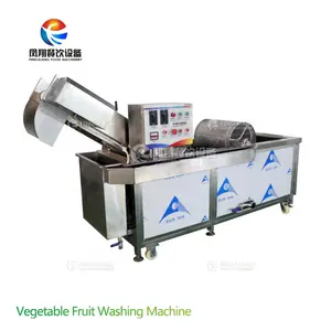WA-1000 Multifunction vegetable and fruit cleaning bubble washing machine with activated carbon apply to vegetable processing