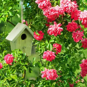 Decoración colorida Casa de pájaros de madera comedero de pájaros pequeños de madera con cordón de yute colgante decoración de primavera