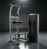 Máquina de Dominadas Ajustable de Acero para Gimnasio Comercial, Equipo de Fitness para Entrenamiento de Espalda, Pecho, Piernas y Brazos