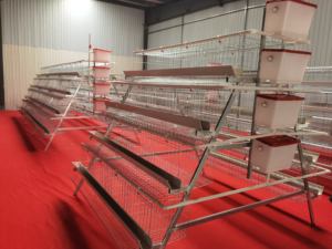 Cage pour poulets de ferme à 4 niveaux Système de cage automatique pour poulets de ferme Cage pour volaille Coq - Product Image 5
