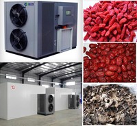 Professionele Uitdrogingsapparatuur Voor De Productie Van Groenten En Fruit/Kinkai Vijgen/Bosbessen/Aardbeiengedroogde Vruchten