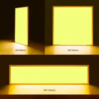 Panel de Luz LED para Cuarto Limpio de 30x120cm, Anti-UV, Bloquea Eficazmente los Rayos Ultravioleta Inferiores a 500nm