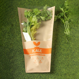 Cool Fresh Vegetable Fruits Food Lettuce OPP Wicket Cone Bag Frozen Food Packagingfor Packaging Custom Clear Plastic PE