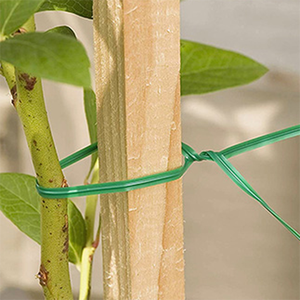 Attaches-câbles torsadées multi-usages personnalisées réutilisables de la marque HUAFU, rouleau de 50 m, vert, revêtement en PVC vinyle, pour le soutien de la croissance des plantes de jardin, sur bobine - Product Image 6