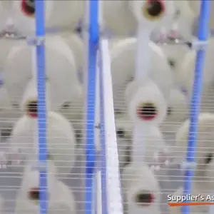 Fabbrica OEM ODM a buon mercato all'ingrosso tessuto di cotone popeline di cotone 150gsm